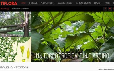 BlogNow 4 Rattiflora: nuovo sito, formazione SEO e Facebook