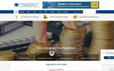 BlogNow 2 Confcommercio Como: restyling sito