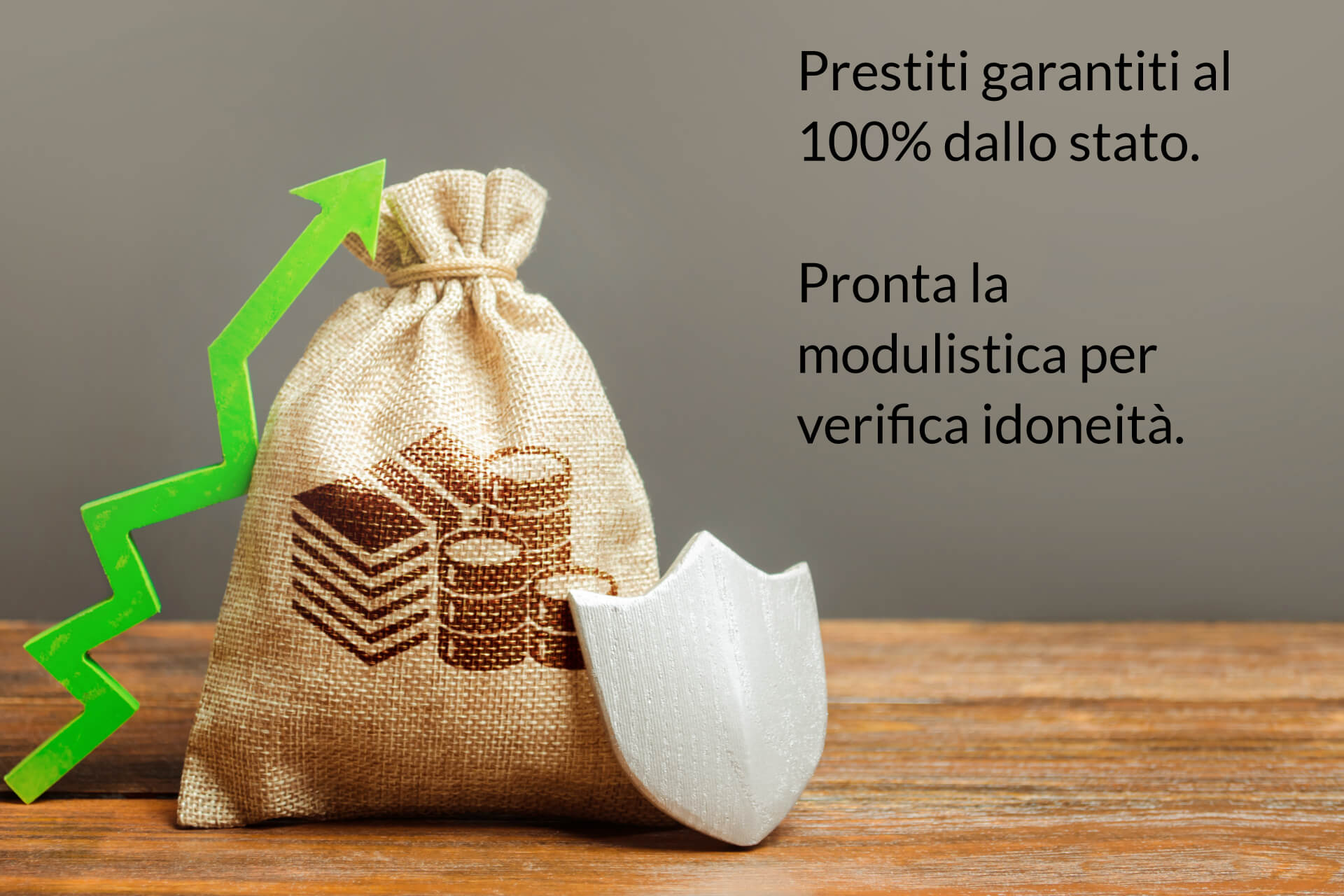 Prestiti garantiti dallo stato Prestiti garantiti dallo stato