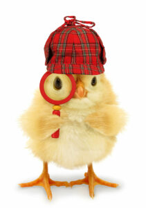 Sigiani ShareNow e1648826899417